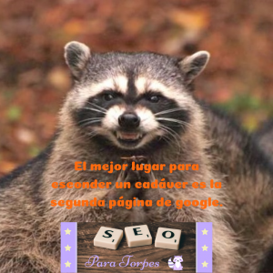 SEO meme mapache cabron