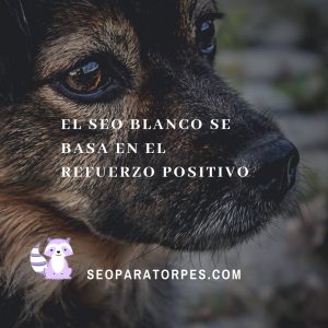 que es el SEO blanco