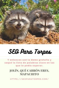 mapache se rien con malicia