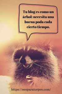 thin content y motivos para eliminarlo